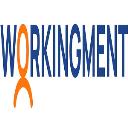 workingment - Assignment helper logo