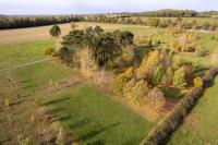 Tithe Green Natural Burial image 3