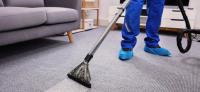 Magic Carpet Cleaning Company image 2