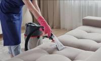 Magic Carpet Cleaning Company image 4