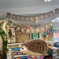 Hedgehogs Pre-school Nursery image 1