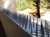 InterPanel Bird Proofing image 5