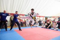 The Warrior Academy - Motcombe Martial Arts image 2