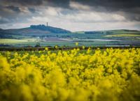 Visit East Lothian image 4