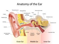 MK Ear Wax Clinic Ltd image 3