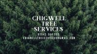 Chigwell Tree Services image 2