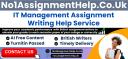 IT Management Assignment Help logo