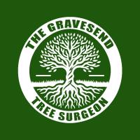 The Gravesend Tree Surgeon image 1