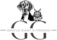 Gentle Giant and Friends image 1