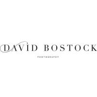 David Bostock Photography image 1