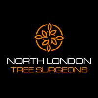 North London Tree Surgeons image 3