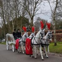 Insight Funeral Directors image 2