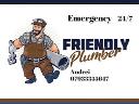 Local Friendly Plumber logo