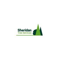 Sheridan tree services Ltd image 1