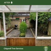 Chigwell Tree Services image 3