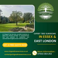 Chigwell Tree Services image 9