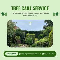 Chigwell Tree Services image 10