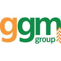 GGM Group Ltd image 1