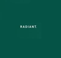 Radiant Shopify Agency image 1