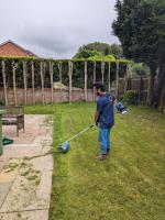 Local Grass Cutting Service & Lawn Care image 2