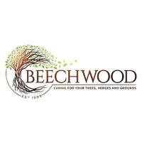 Beechwood Tree Care Ltd image 1