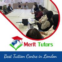 Merit Tutors image 1