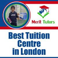 Merit Tutors image 4