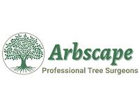 Arbscape Tree Surgeons Ltd image 1