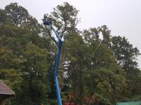 Pineridge Tree Care image 11