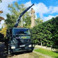 Pineridge Tree Care image 2