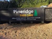 Pineridge Tree Care image 12