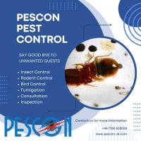 Pescon Pest Control image 1