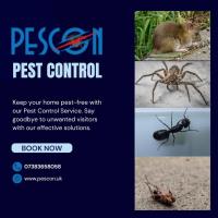 Pescon Pest Control image 2