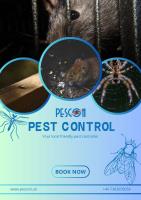 Pescon Pest Control image 5