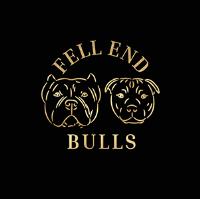 Fell End Staffordshire Bull Terriers image 1