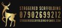  Staggered Scaffolding logo