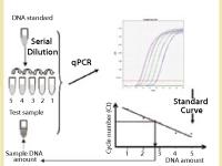 Yeast DNA Residue Assay Kits image 1