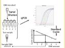 Yeast DNA Residue Assay Kits logo