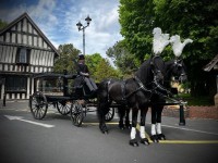 Liam Stafford Funeral Directors & Stonemasons image 3