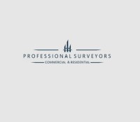 Professional Surveyors Ltd image 1