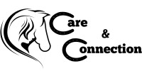 Horse Care and Connection image 1