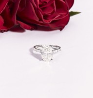 Hatton Garden Diamond image 1