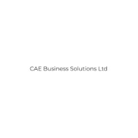 CAE Business Solutions Ltd image 1