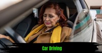 Automatic Driving Instructor image 2