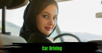 Automatic Driving Instructor image 3