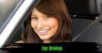 Automatic Driving Instructor image 6