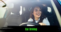 Automatic Driving Instructor image 10