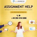 Native Assignment Help logo