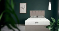 Luxe Mattress Ltd image 3