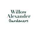 Willow Alexander Cleaners logo